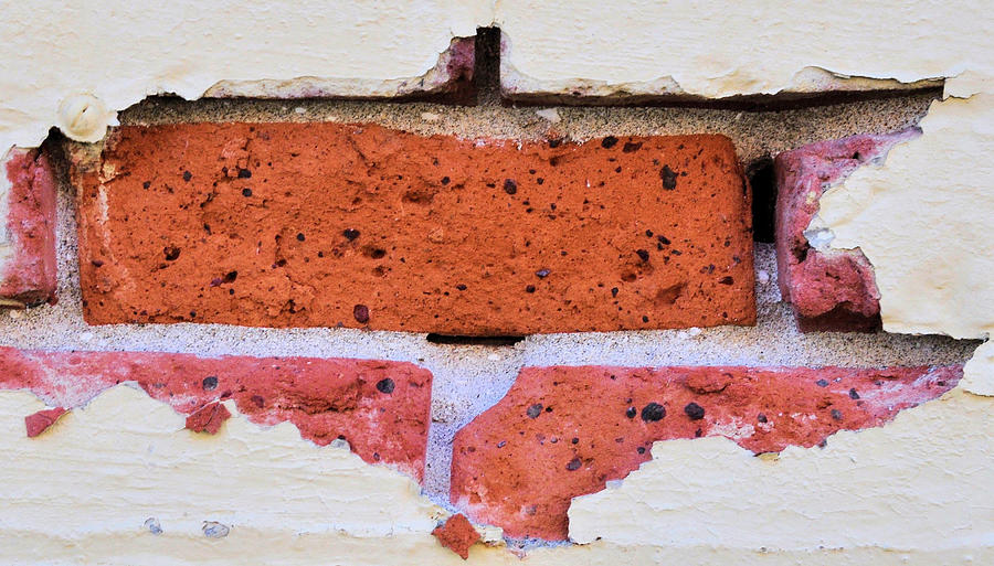 Just Another Brick in the Wall Photograph by Josephine Buschman