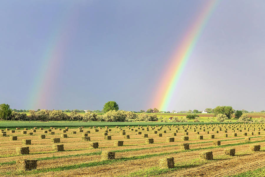 Just Another Country Rainbow Photograph by James BO Insogna