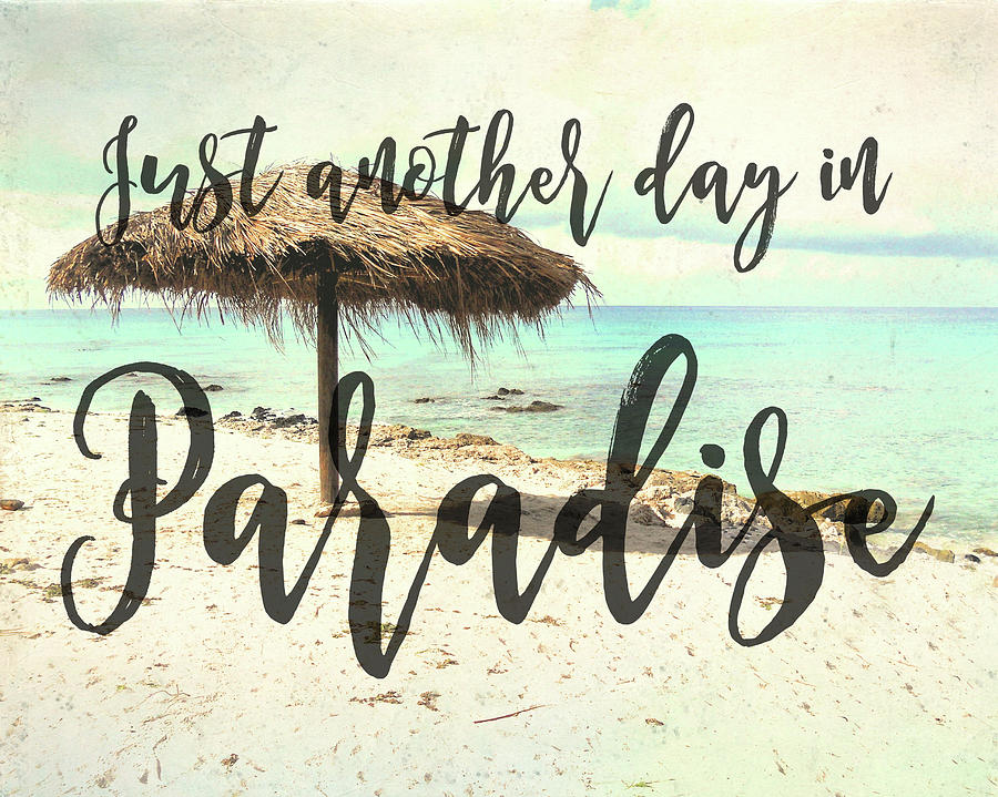 Another Day In Paradise: o significado da … 