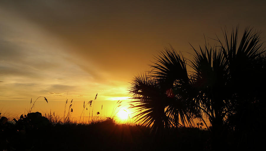 Just Another Florida Sunset Photograph by Robert Wilder Jr