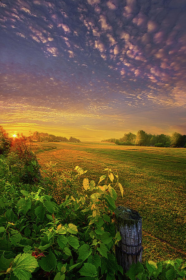 Summer Photograph - Just Another Post by Phil Koch