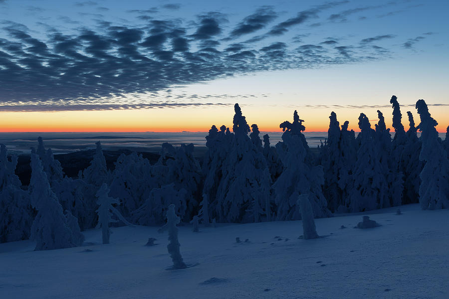 Just before sunrise on the Brocken in the Harz Mountains Photograph by Andreas Levi
