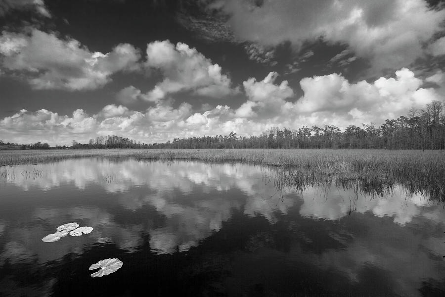 Just Breathe in Black and White Photograph by Debra and Dave Vanderlaan