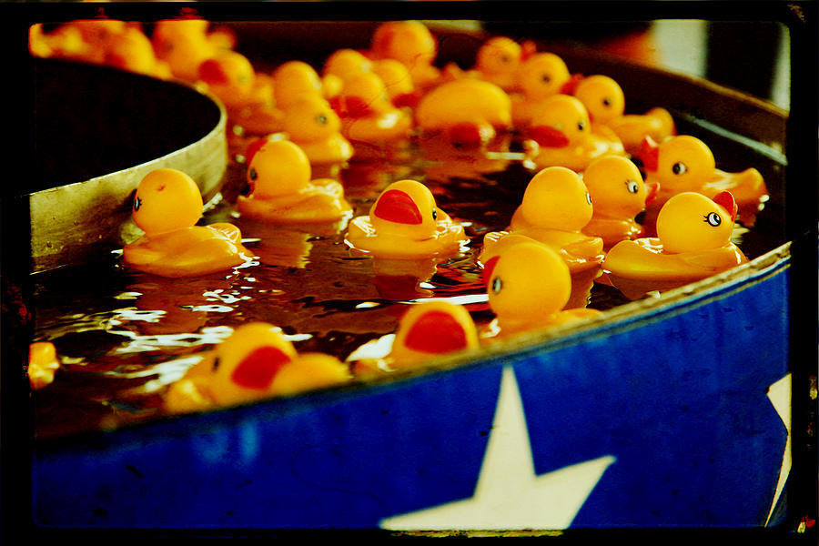 Just Ducky Photograph by Toni Hopper