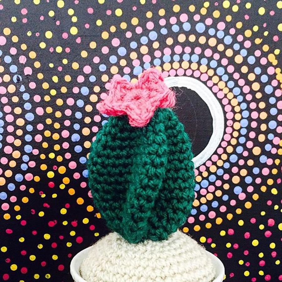 Crochet Photograph - Just Finished This Crochet Cactus! by Pauline Morgan