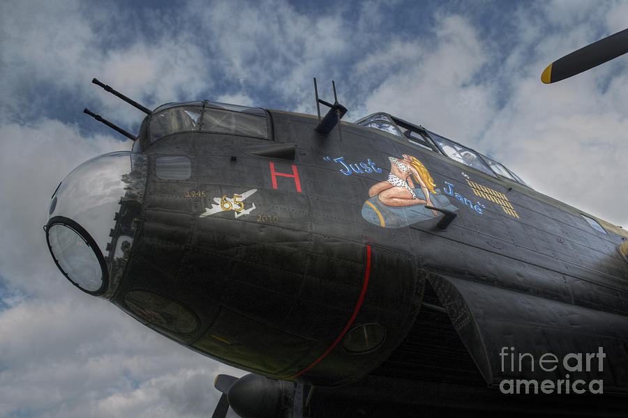 Just Jane Nose Art Digital Art by Nigel Bangert | Fine Art America