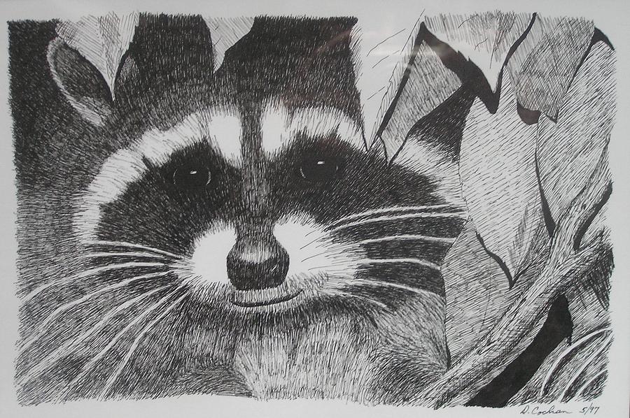 Wildlife Drawing - Just Look at That Face by David Cochran