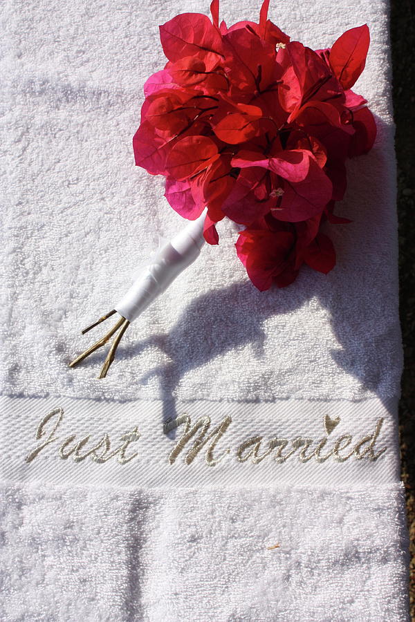 Just Married Photograph by Yvonne Ayoub