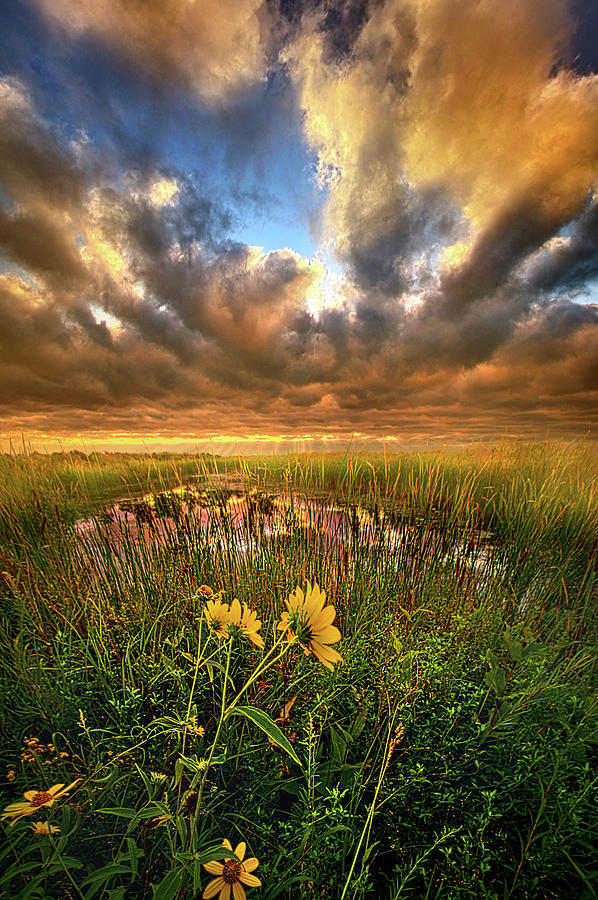 Just Moving SLow Photograph by Phil Koch