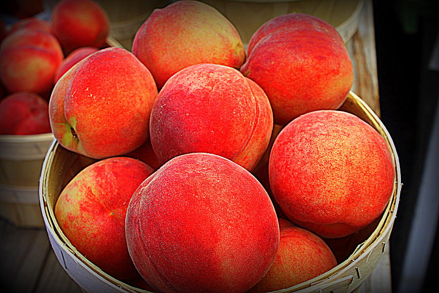 Just Peachy Photograph by Suzanne DeGeorge