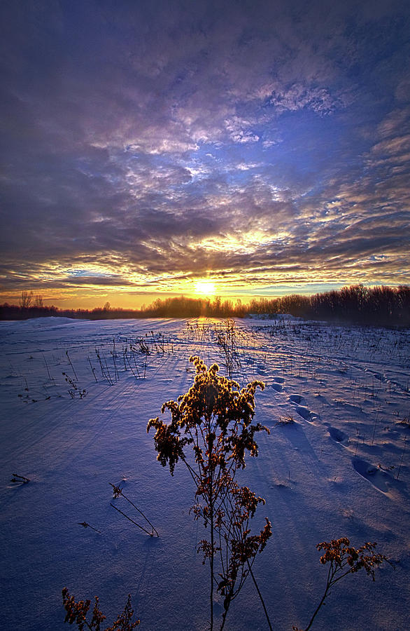 Just Plain Cold Photograph by Phil Koch
