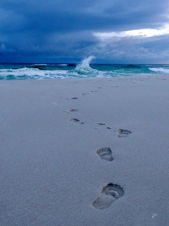 Just Steps To The Sea Photograph by TK Goforth