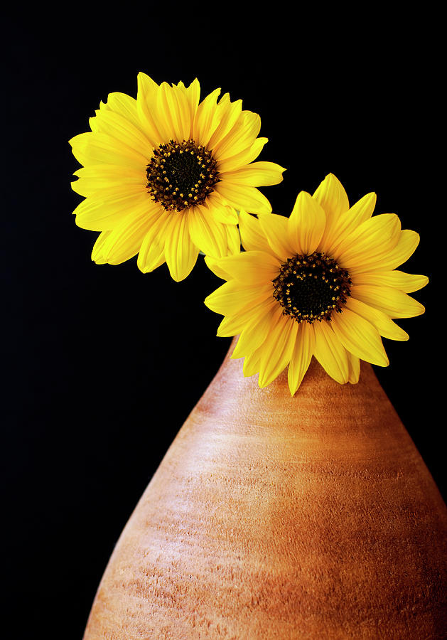 Sunflower Photograph - Just the 2 of us by Jessica Wakefield Sunflower Photograph - Just the 2 of us by Jessica Wakefield