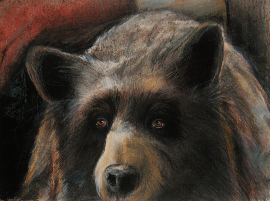 Just The Bear Drawing by Jean Cormier