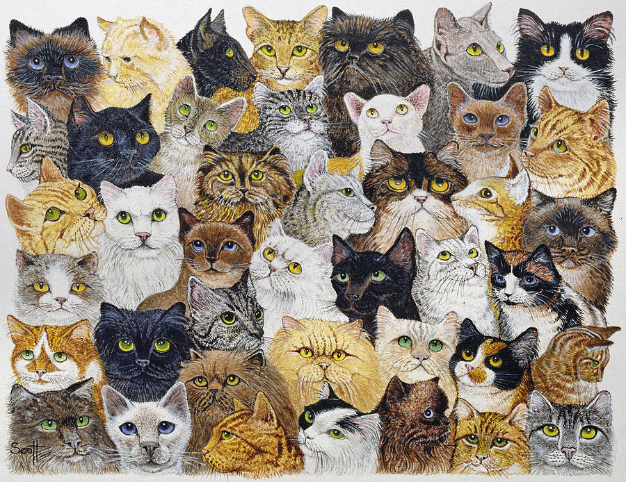 Cat Painting - Just the Cats Whisker by Pat Scott