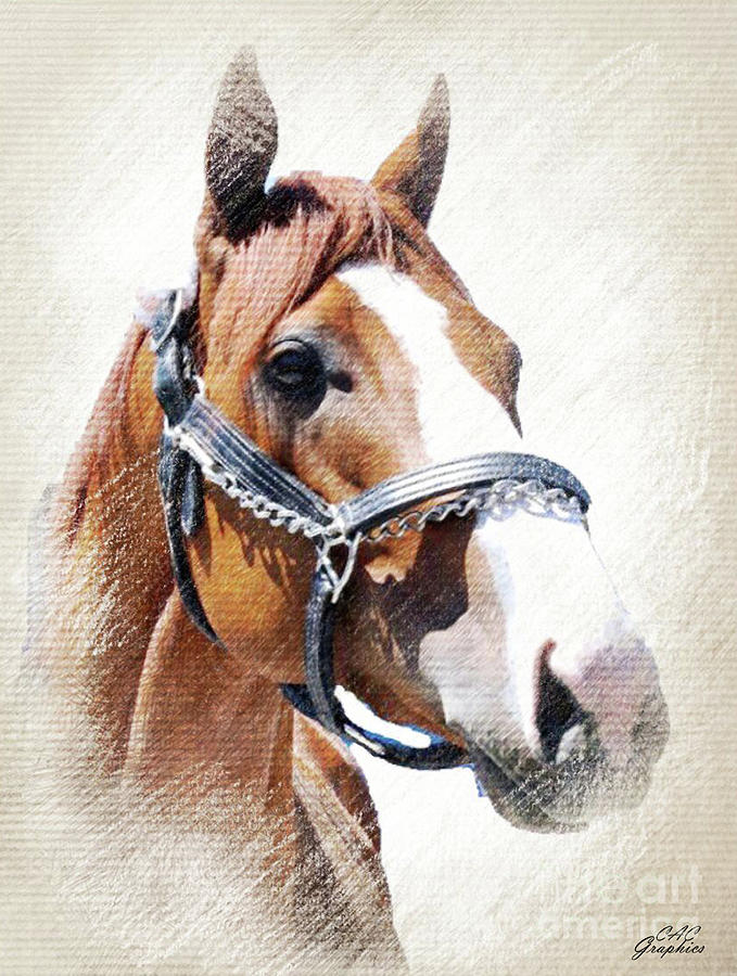 Justify Digital Art by CAC Graphics