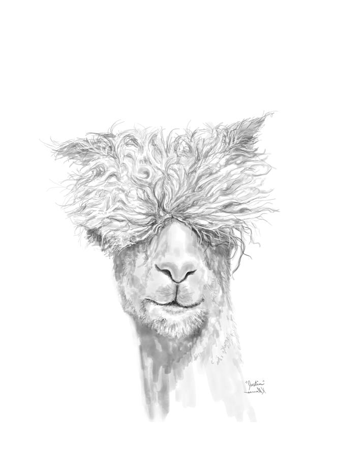 Llama Drawing - Justin by Kristin Llamas