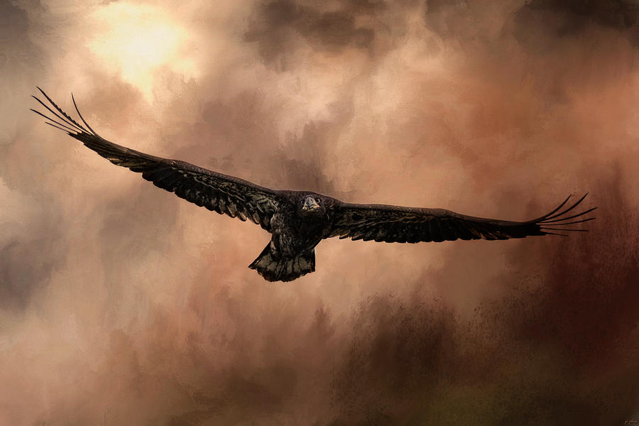 Eagle Photograph - Juvenile Bald Eagle In The Sepia Sky by Jai Johnson
