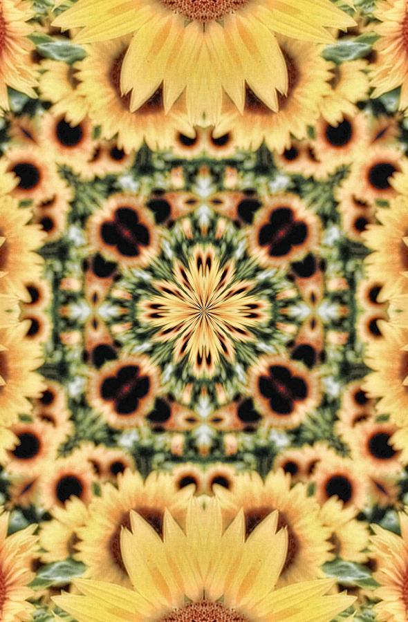 Pattern Photograph - K 7 by Jan Amiss Photography