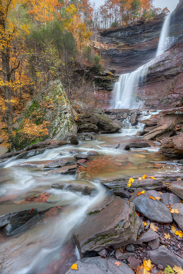 Kaaterskill Falls Autumn Portrait Photograph by Bill Wakeley
