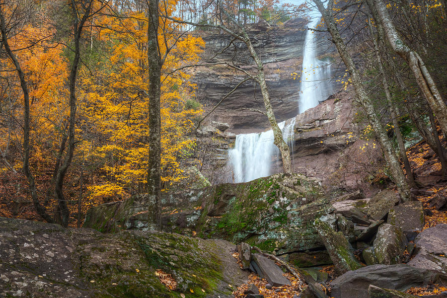 Kaaterskill Falls Thru the Forest Photograph by Bill Wakeley