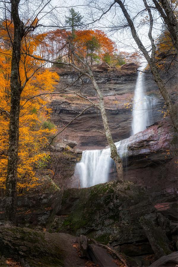 Kaaterskill Falls Thru the Forest Portrait Photograph by Bill Wakeley
