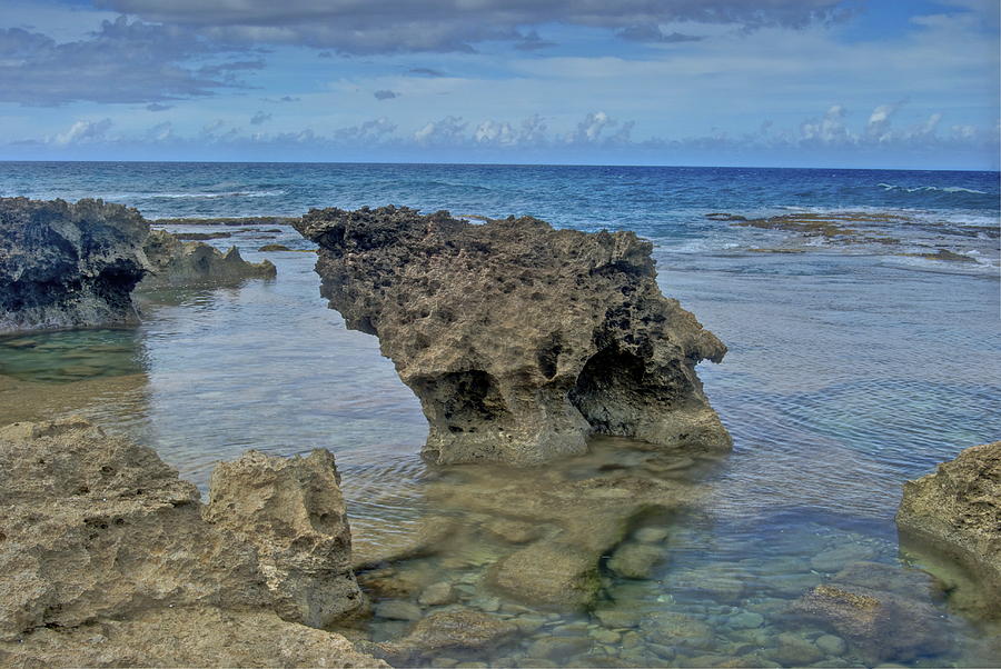 Kaena Point  7868 Photograph by Michael Peychich