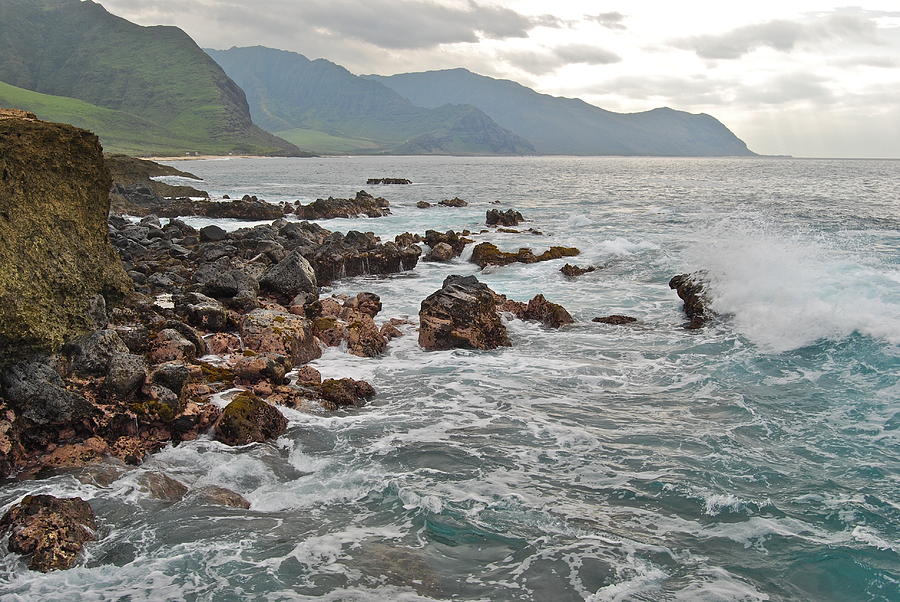 Kaena State Park 2 Photograph by Michael Peychich