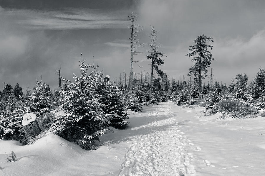 Kaiserweg, Harz Photograph by Andreas Levi