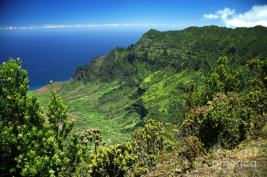 Kalalau Lookout - Kauai Photograph by Peter French - Printscapes - Fine ...