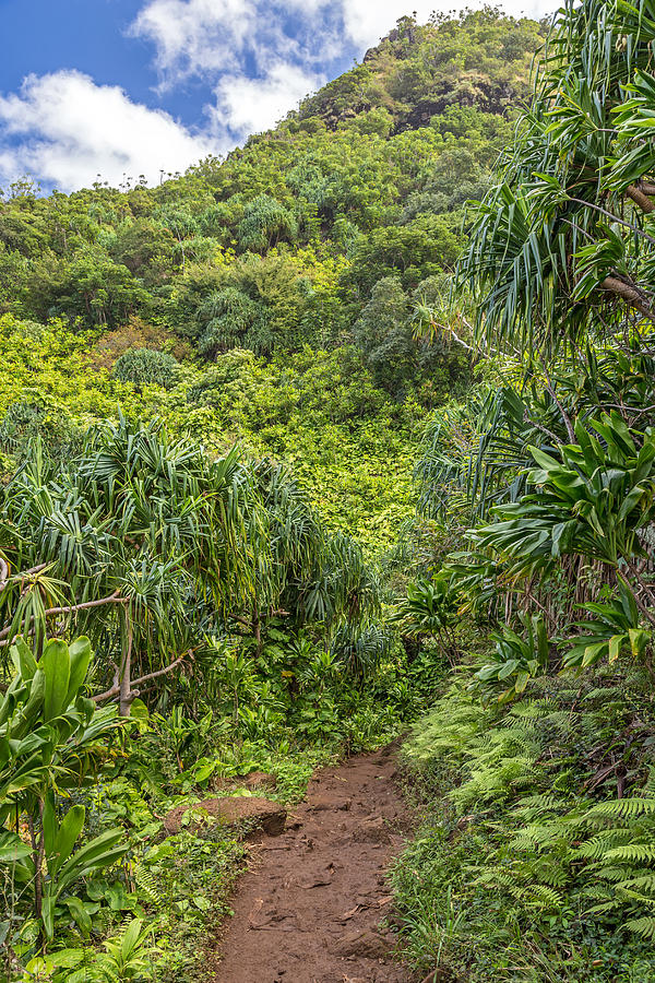 Kalalau Trail Photograph by Pierre Leclerc Photography