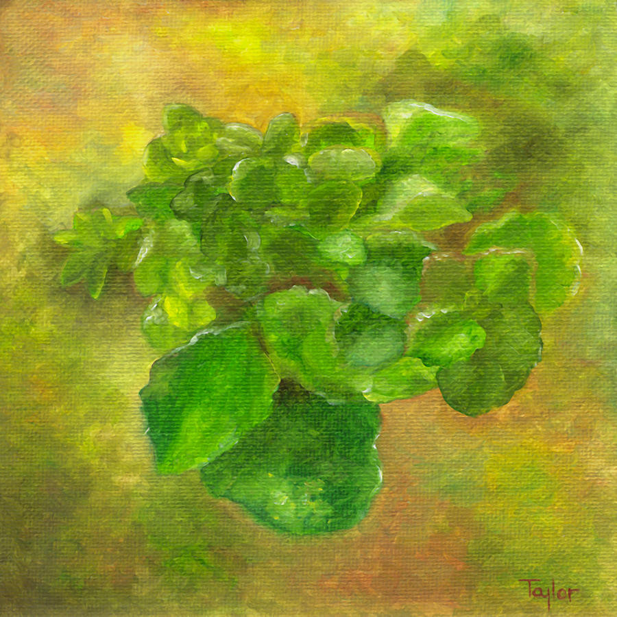 Kalanchoe Painting by FT McKinstry