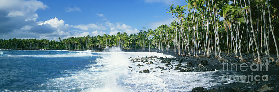 Kalapana Black Sand Beach Photograph by David Cornwell First Light Pictures Inc - Printscapes