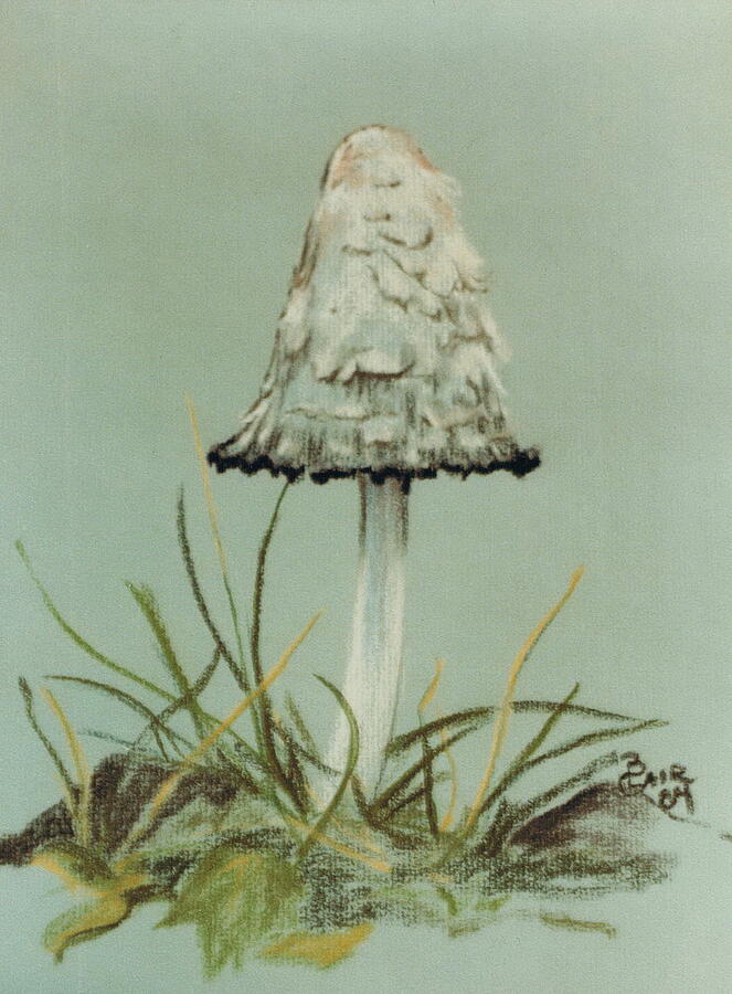Kaldari Copvinoid Mushroom Pastel by Barbara Keith