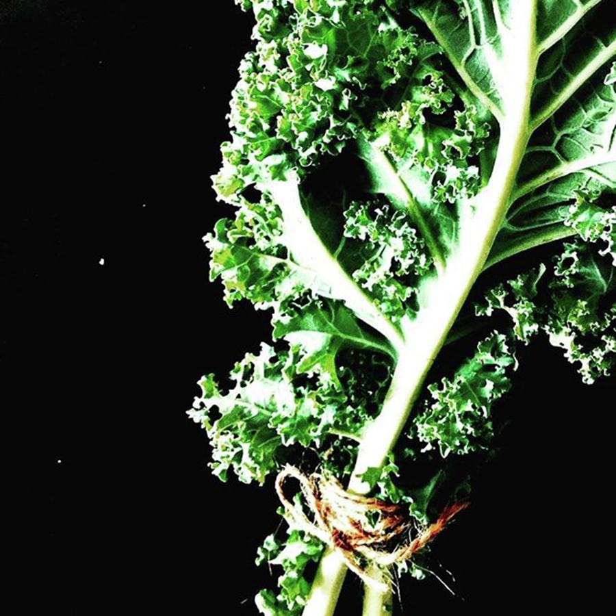 Vegetable Photograph - Kale * by Sophia Kam