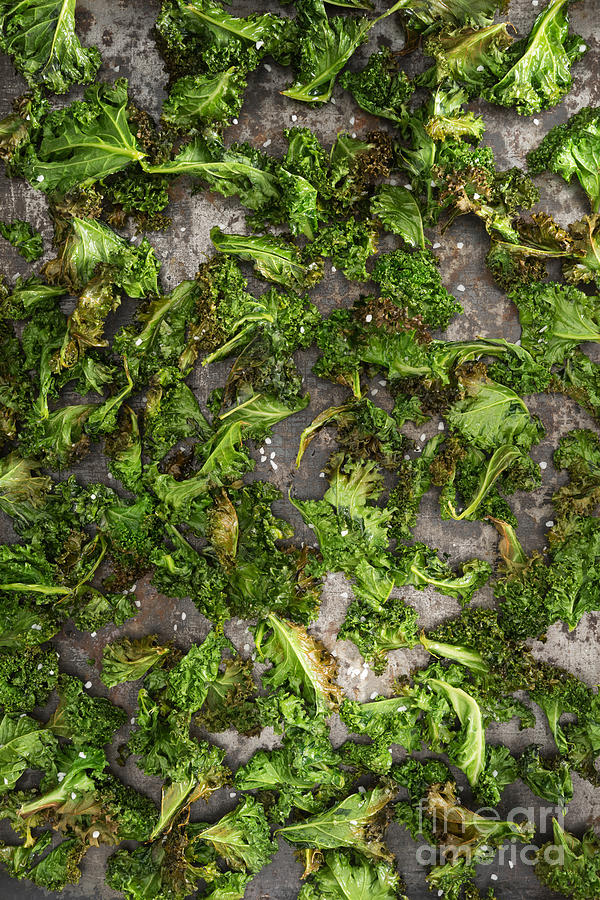 Vegetable Photograph - Kale chips with sea salt by Elisabeth Coelfen