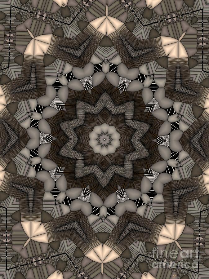 Kaleidoscope 101 Digital Art by Ron Bissett