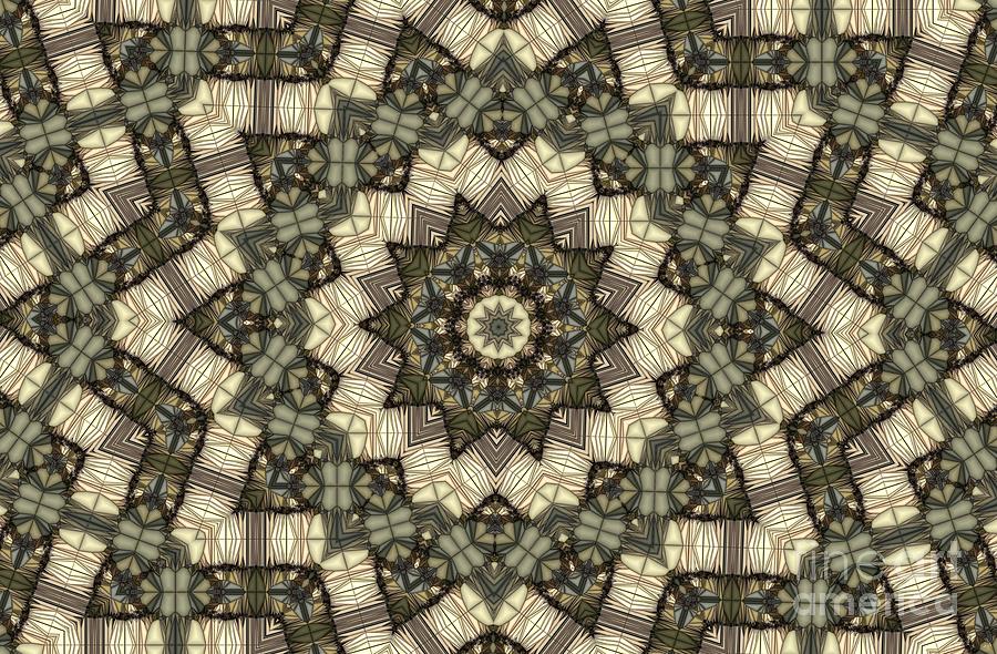 Kaleidoscope 102 Digital Art by Ronald Bissett