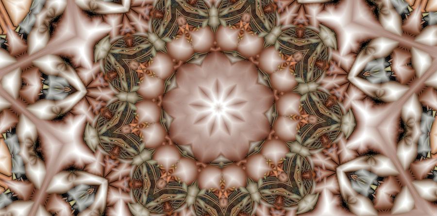 Kaleidoscope 106 Digital Art by Ronald Bissett
