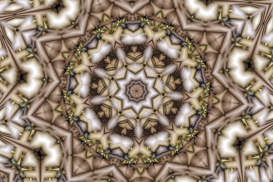 Kaleidoscope 107 Digital Art by Ronald Bissett