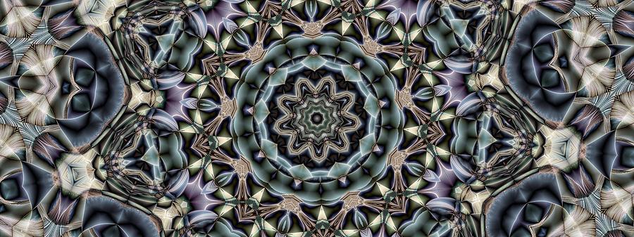 Kaleidoscope 112 Digital Art by Ronald Bissett