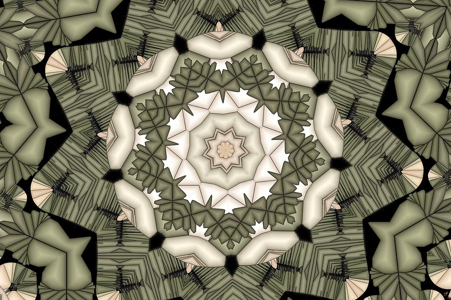 Kaleidoscope 113 Digital Art by Ronald Bissett