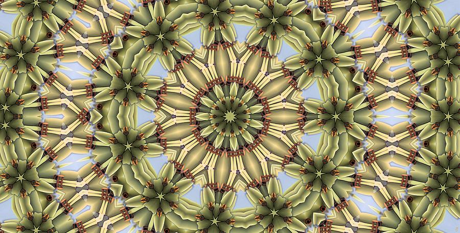 Kaleidoscope 128 Digital Art by Ronald Bissett