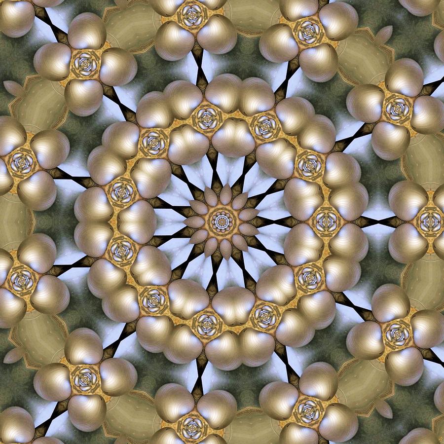 Kaleidoscope 130 Digital Art by Ron Bissett