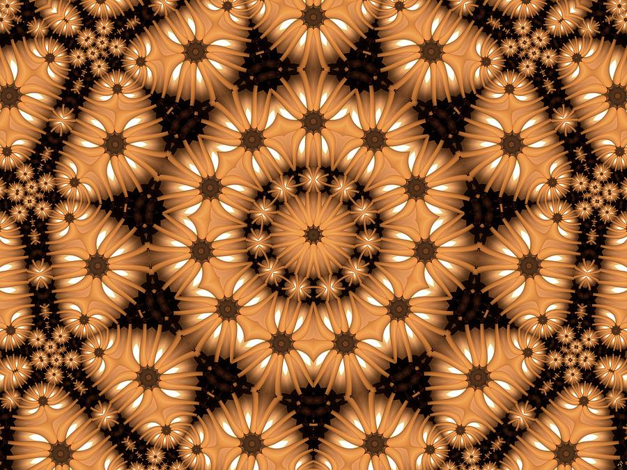 Kaleidoscope 131 Digital Art by Ronald Bissett