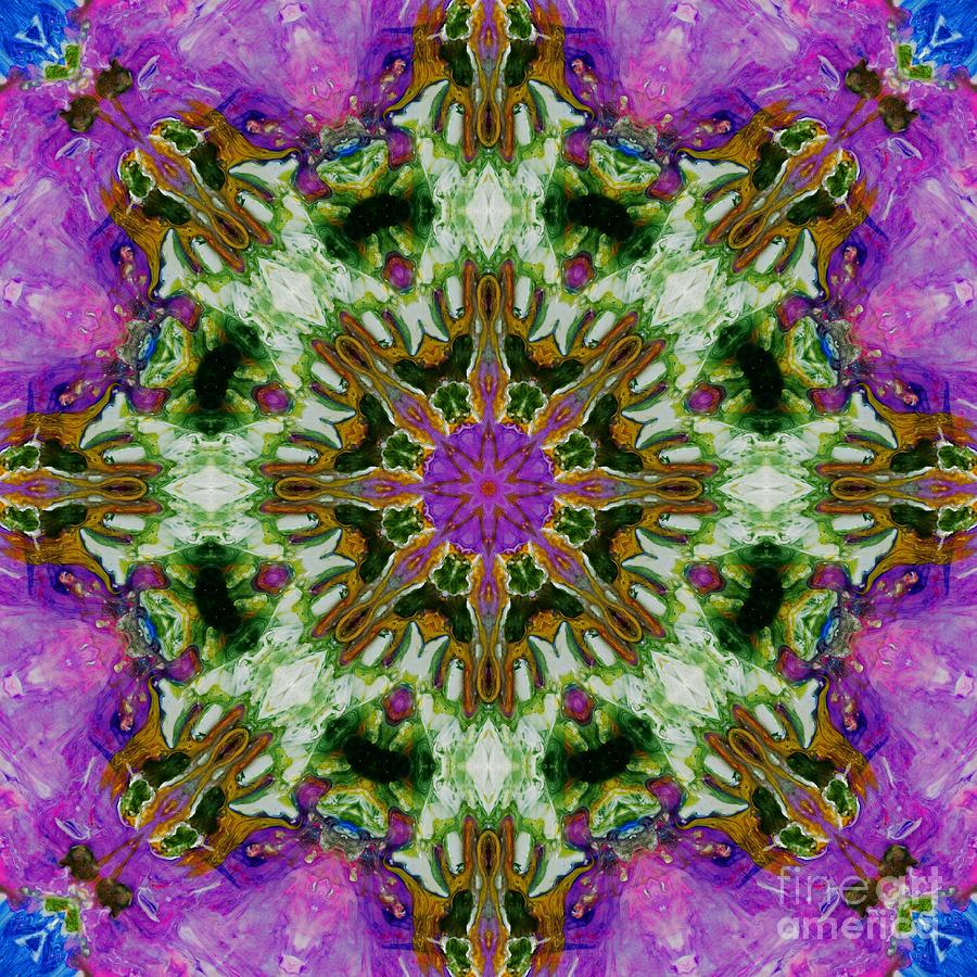 Kaleidoscope 2 Digital Art by Lori Kingston