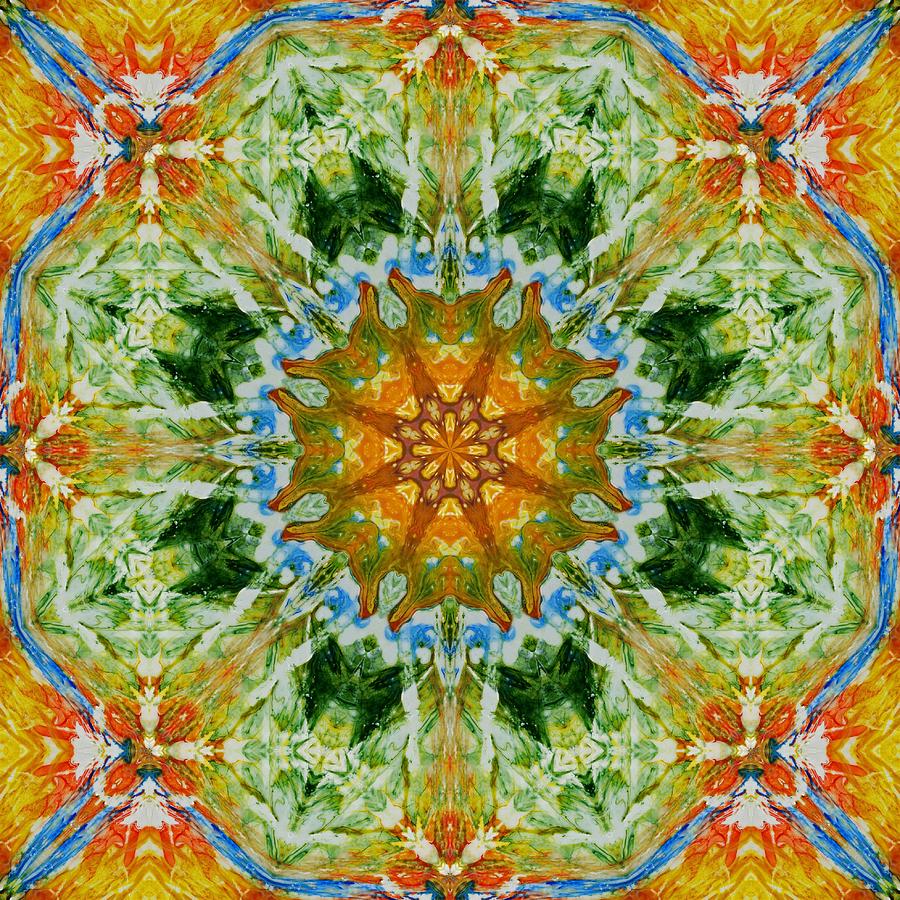 Kaleidoscope 3 Digital Art by Lori Kingston