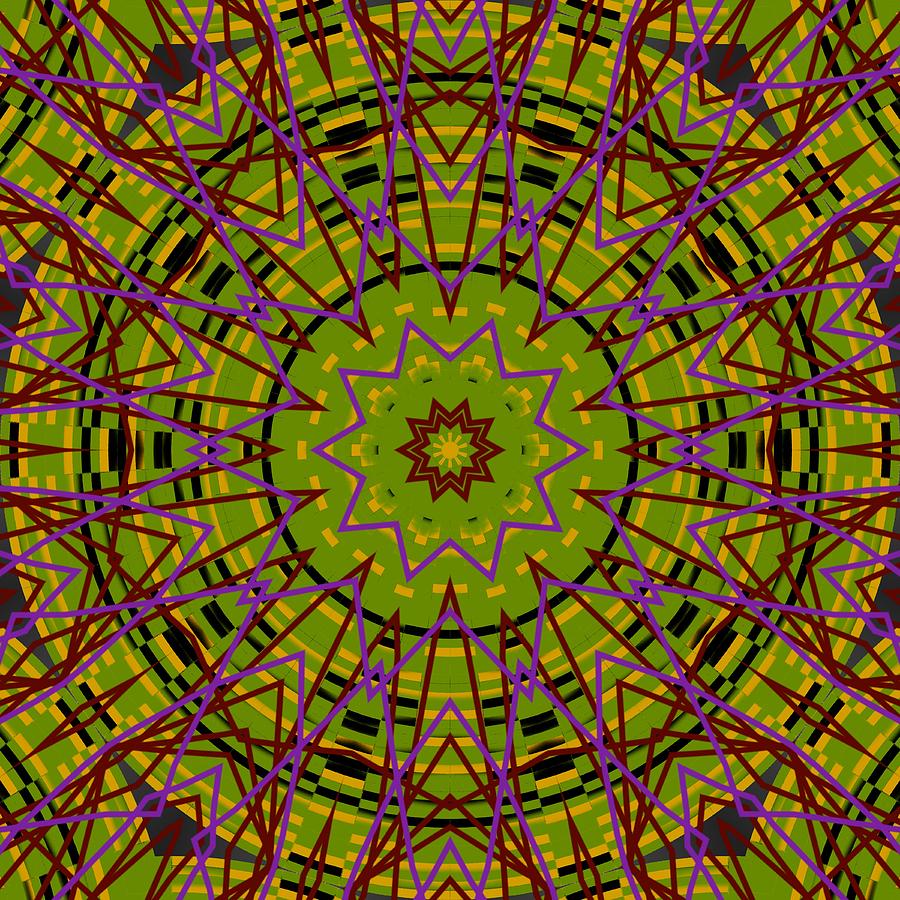 Kaleidoscope 3204 Digital Art by Kristalin Davis