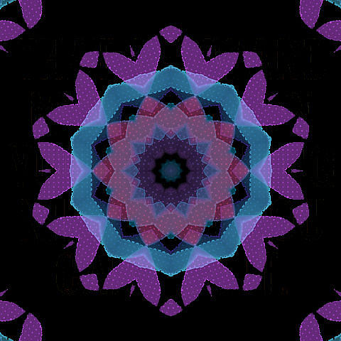 Kaleidoscope 343 by Kristalin Davis Digital Art by Kristalin Davis