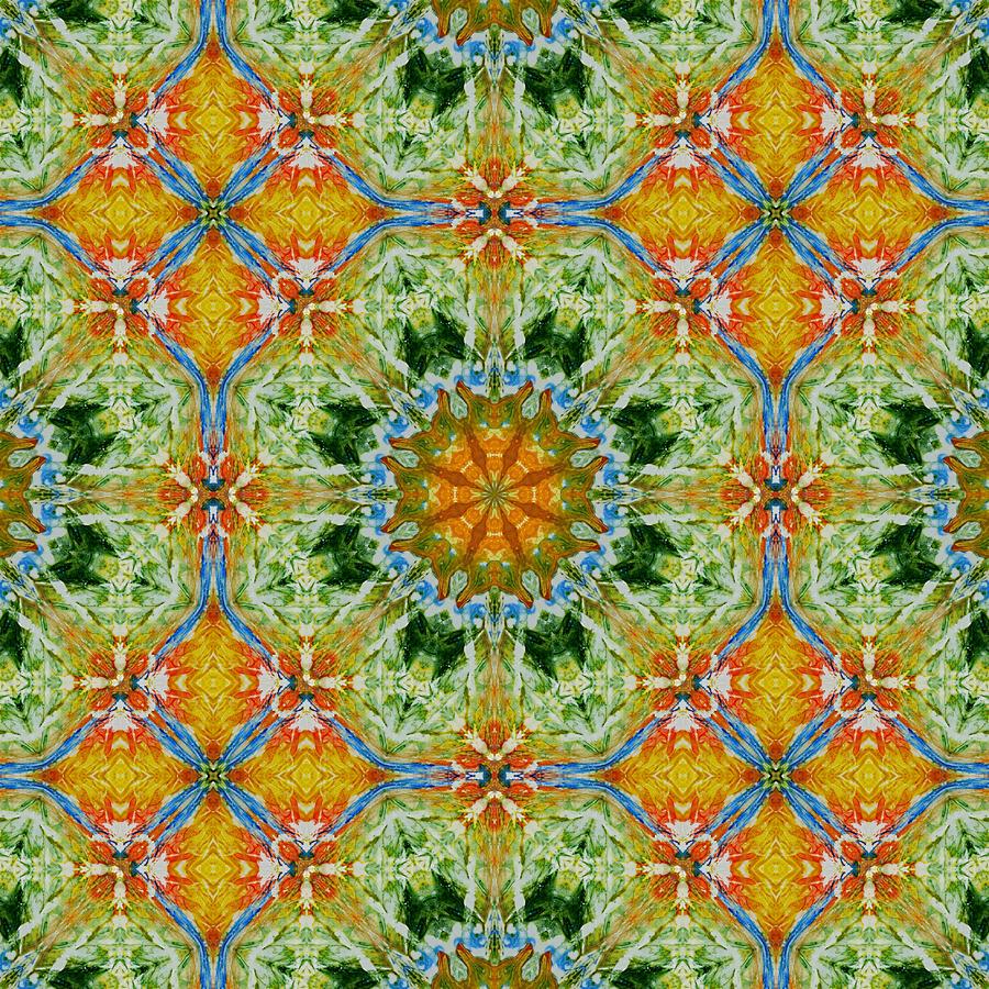 Kaleidoscope 4 Digital Art by Lori Kingston